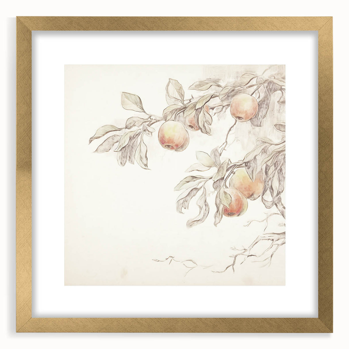 Vintage Botanical Art Prints – Apple Branch Pencil Drawing