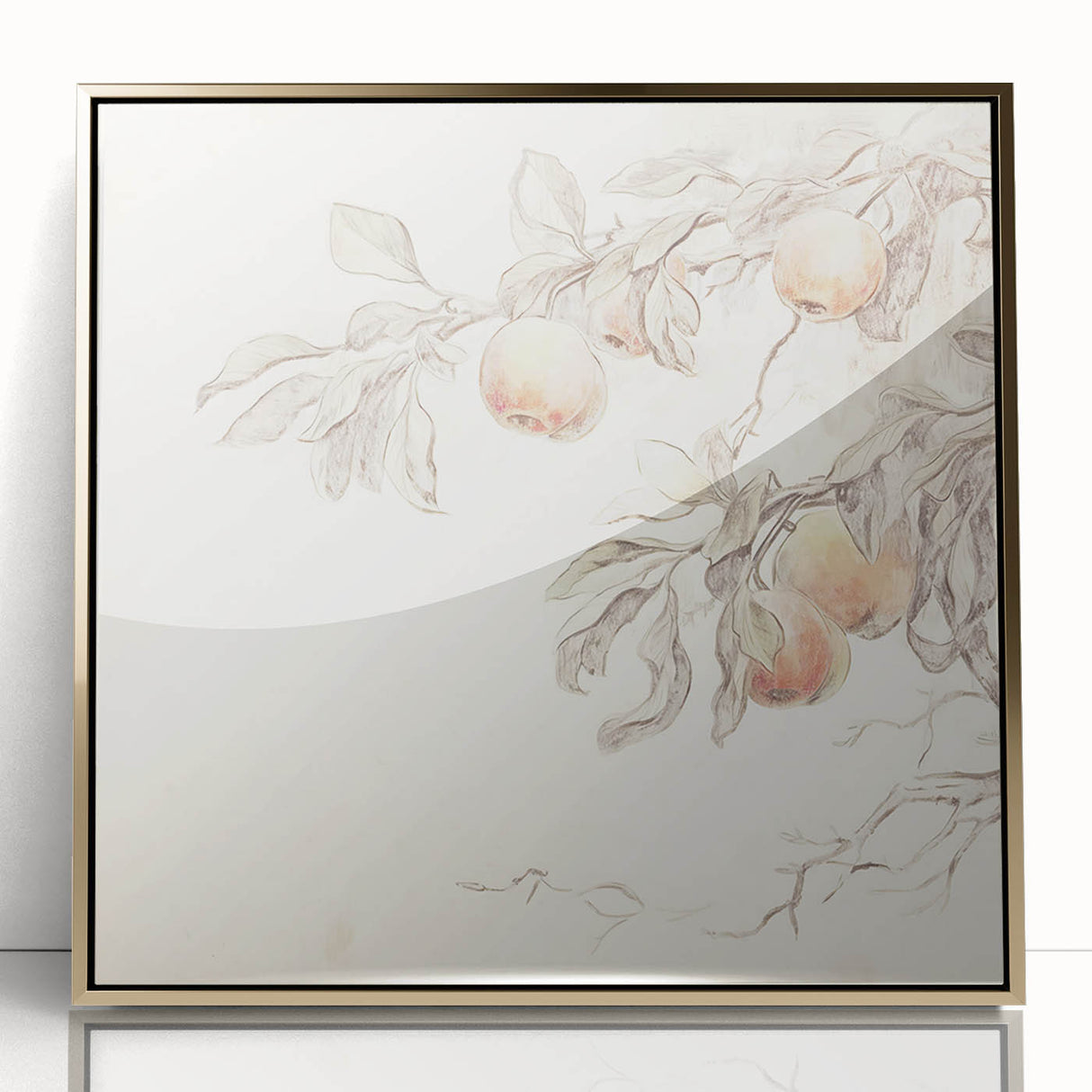 Vintage Botanical Art Prints – Apple Branch Pencil Drawing