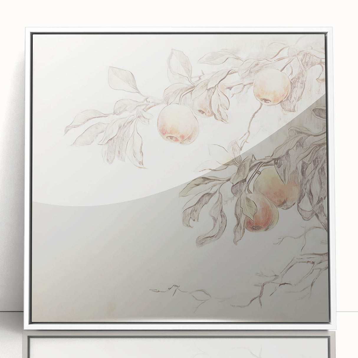 Vintage Botanical Art Prints – Apple Branch Pencil Drawing