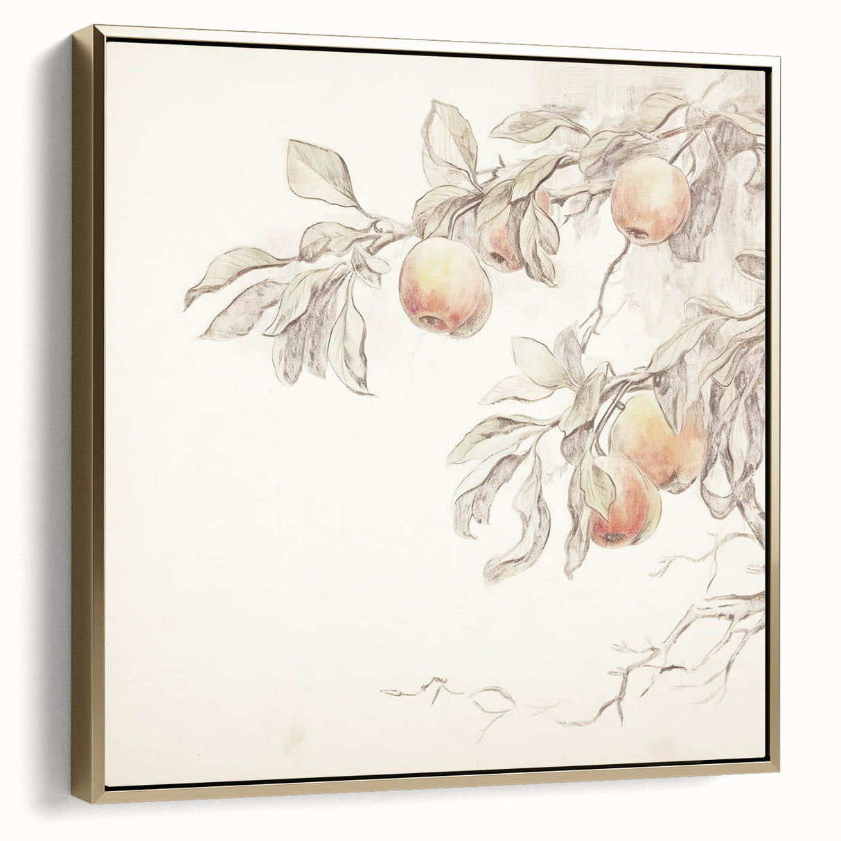 Vintage Botanical Art Prints – Apple Branch Pencil Drawing