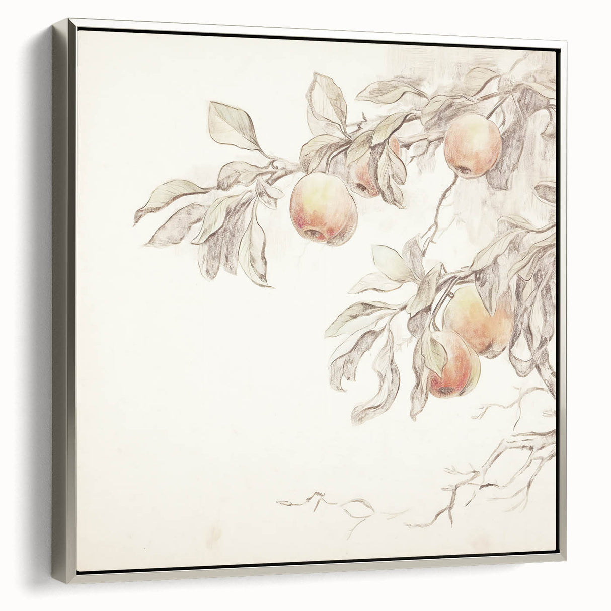 Vintage Botanical Art Prints – Apple Branch Pencil Drawing