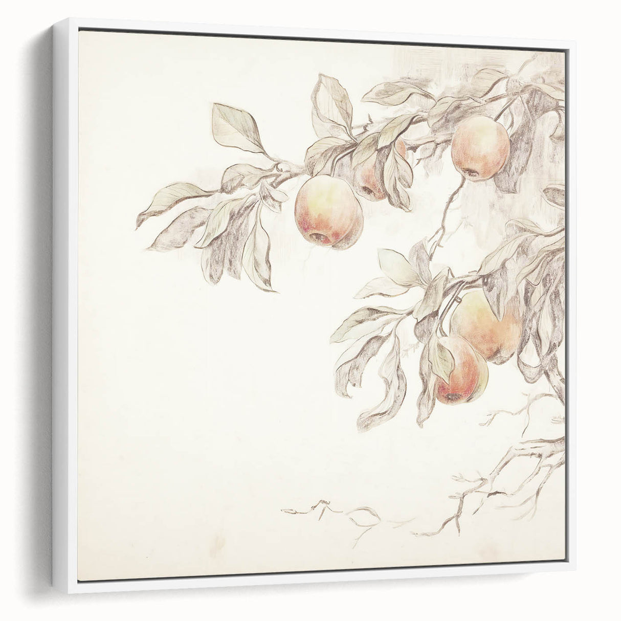 Vintage Botanical Art Prints – Apple Branch Pencil Drawing