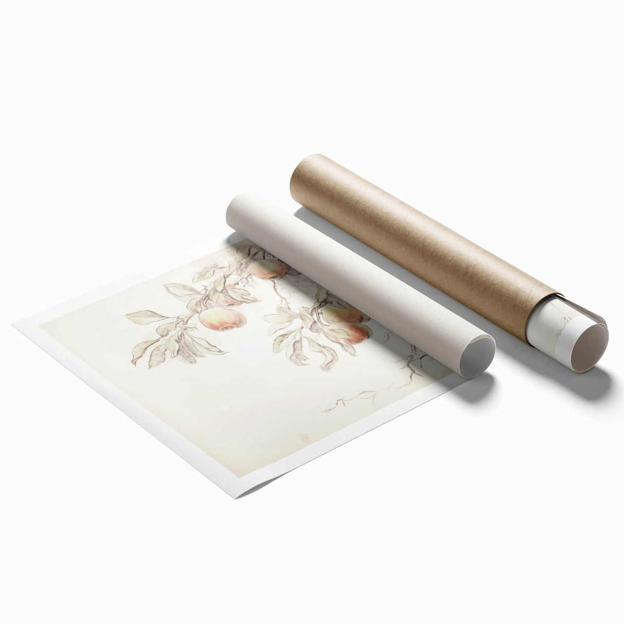 Vintage Botanical Art Prints – Apple Branch Pencil Drawing