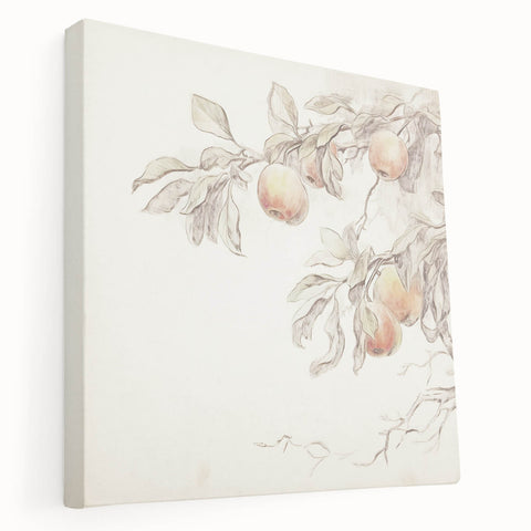 Vintage Botanical Art Prints – Apple Branch Pencil Drawing