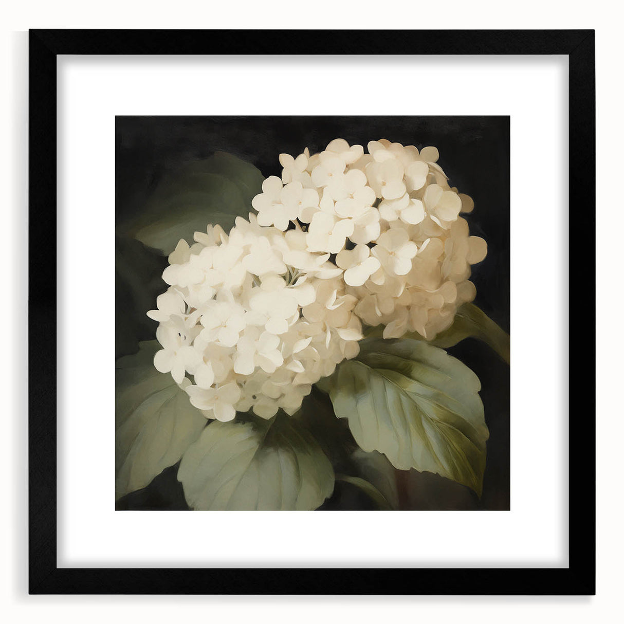 Vintage Botanical Art Print: White Hydrangea Flower Illustration