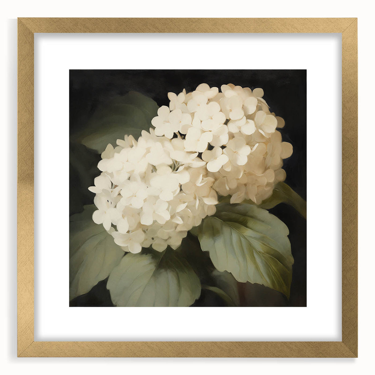 Vintage Botanical Art Print: White Hydrangea Flower Illustration