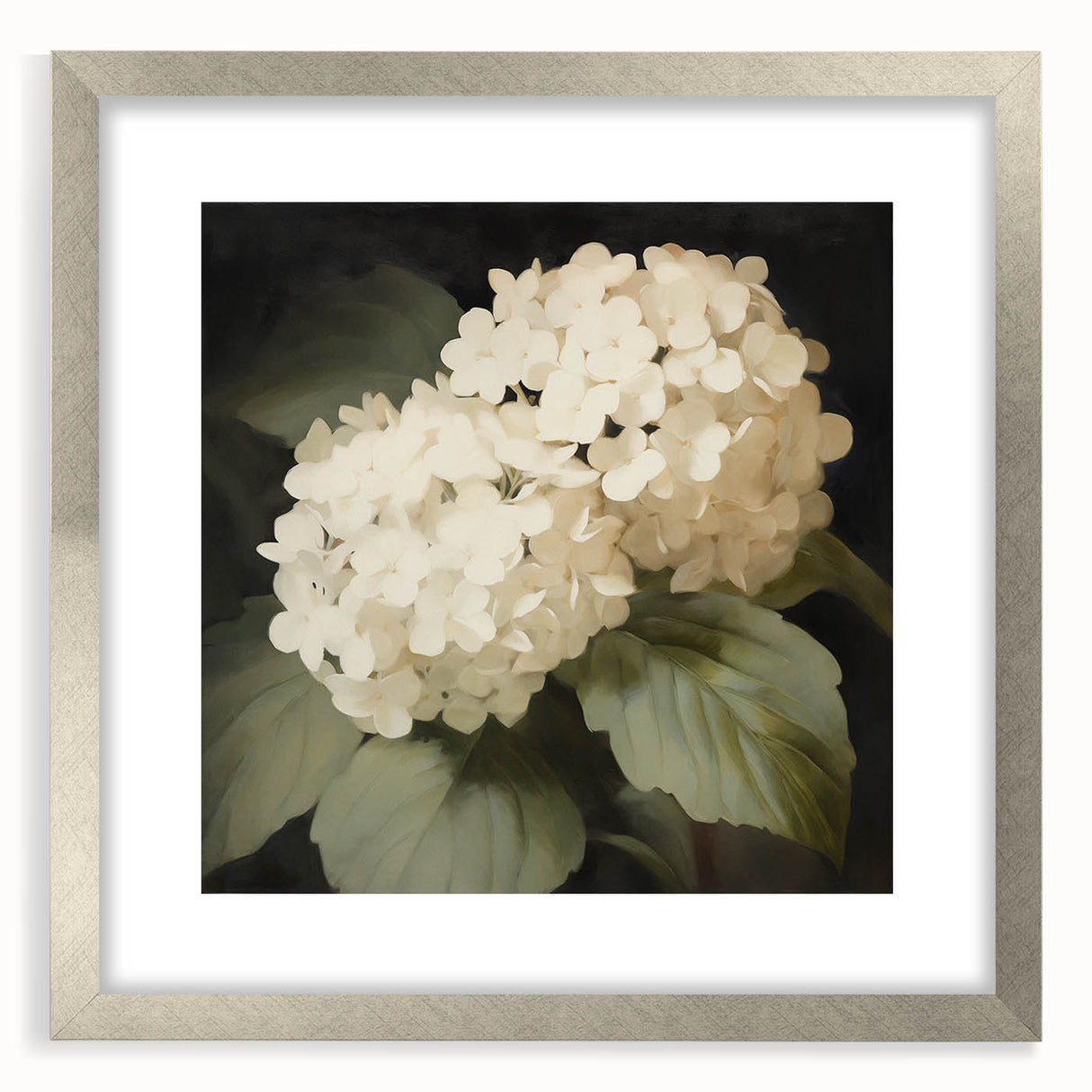 Vintage Botanical Art Print: White Hydrangea Flower Illustration