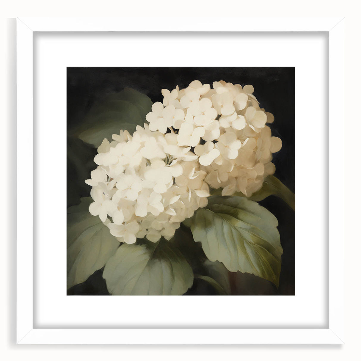 Vintage Botanical Art Print: White Hydrangea Flower Illustration