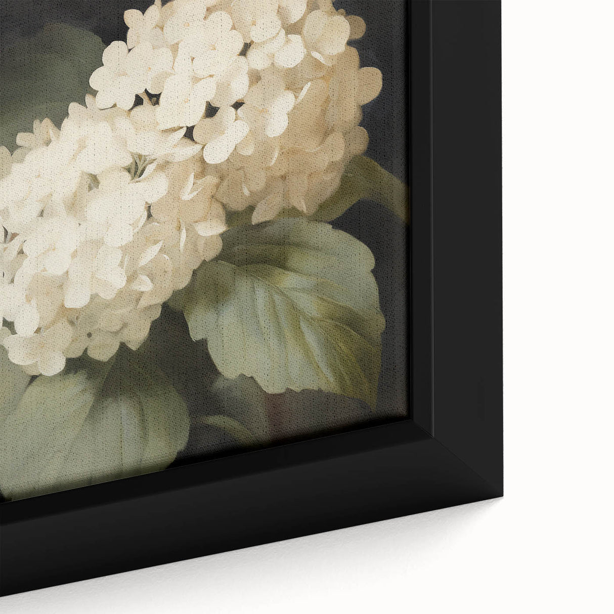 Vintage Botanical Art Print: White Hydrangea Flower Illustration