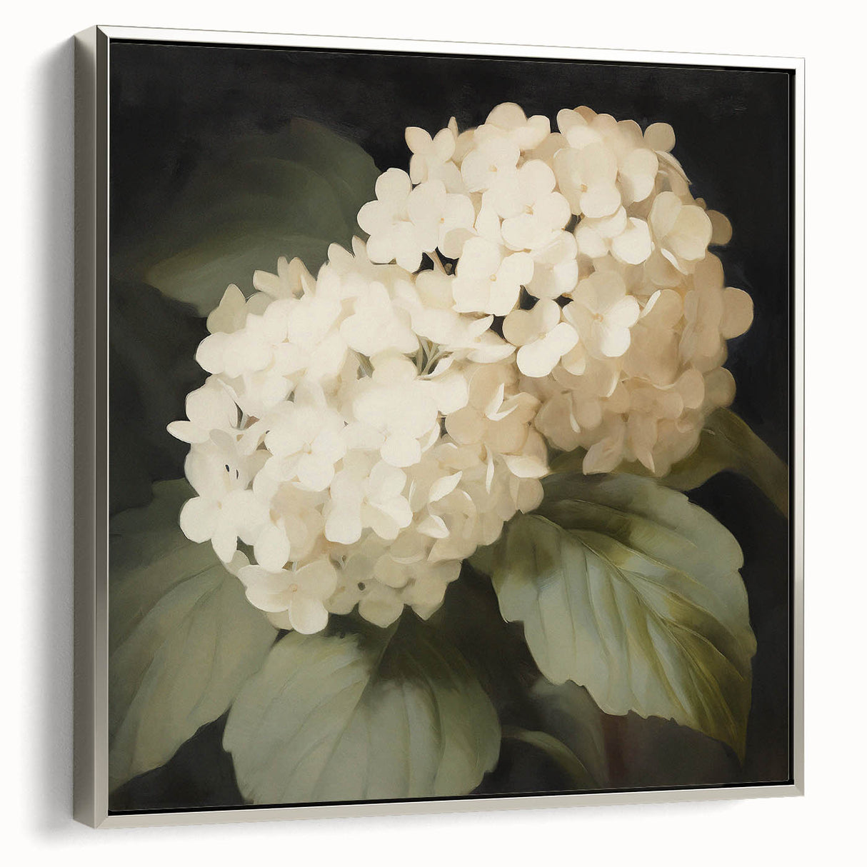 Vintage Botanical Art Print: White Hydrangea Flower Illustration