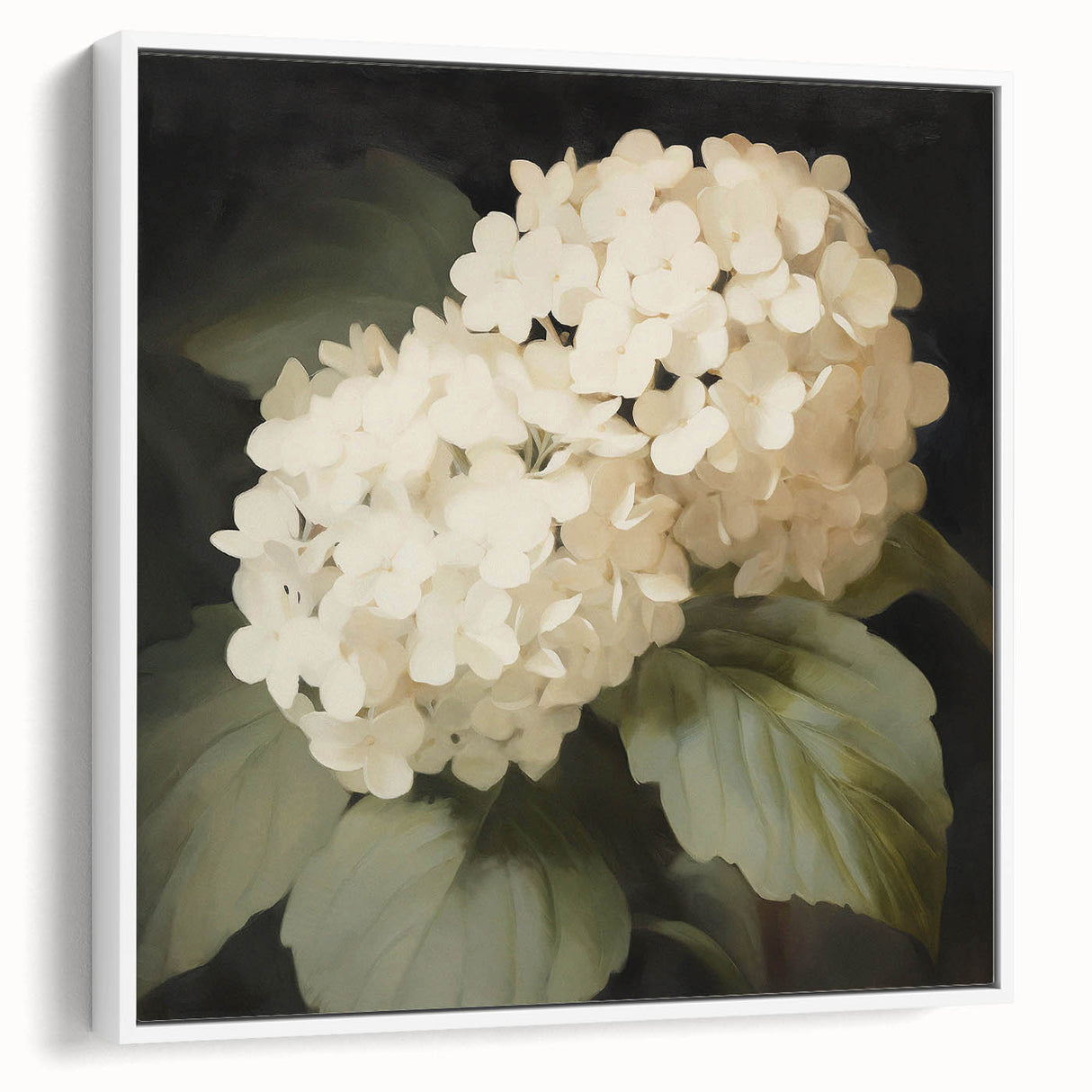 Vintage Botanical Art Print: White Hydrangea Flower Illustration