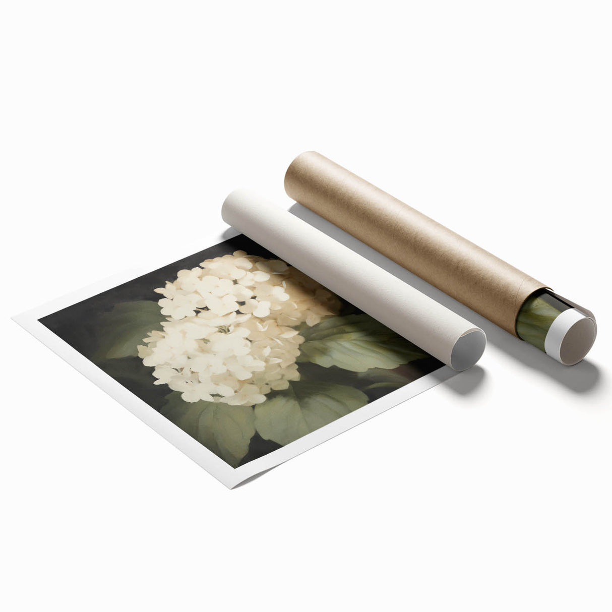 Vintage Botanical Art Print: White Hydrangea Flower Illustration