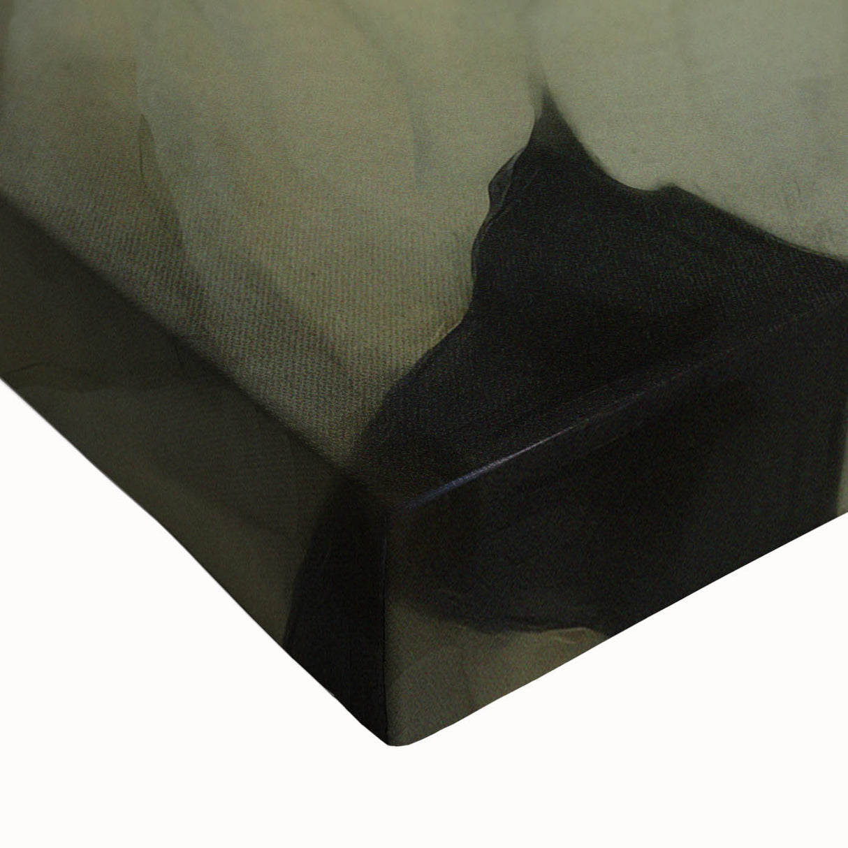 Vintage Botanical Art Print: White Hydrangea Flower Illustration