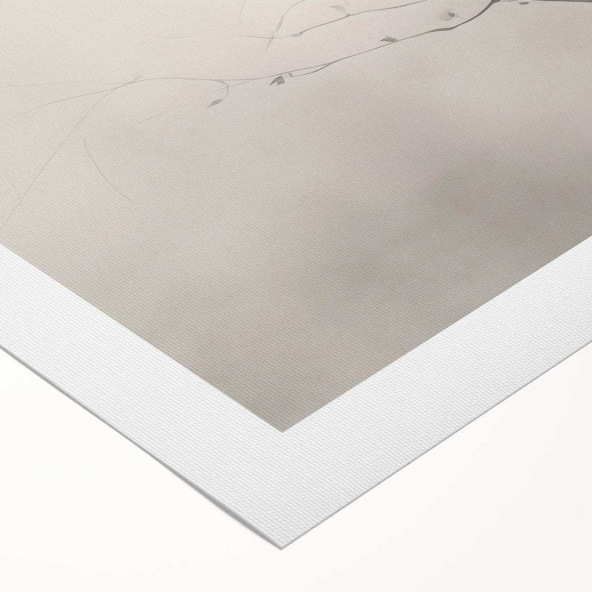 Vintage Botanical Art Prints – Elegant Branch Pencil Drawing