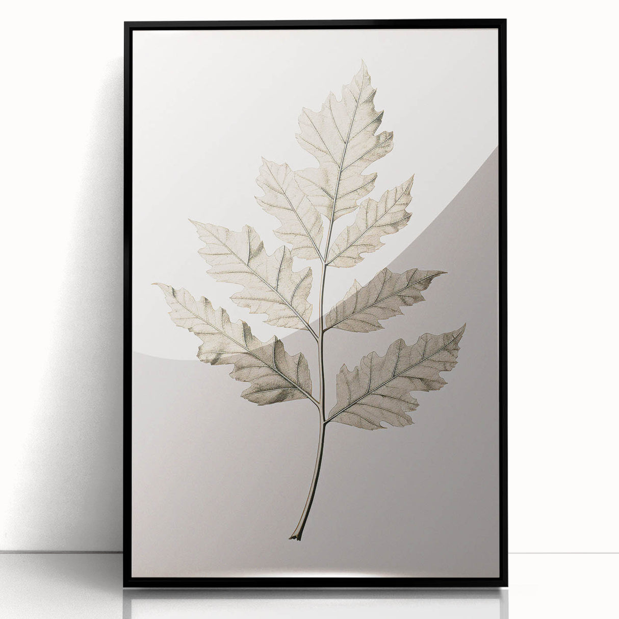Vintage Botanical Art Prints – Elegant Oak Leaf Drawing