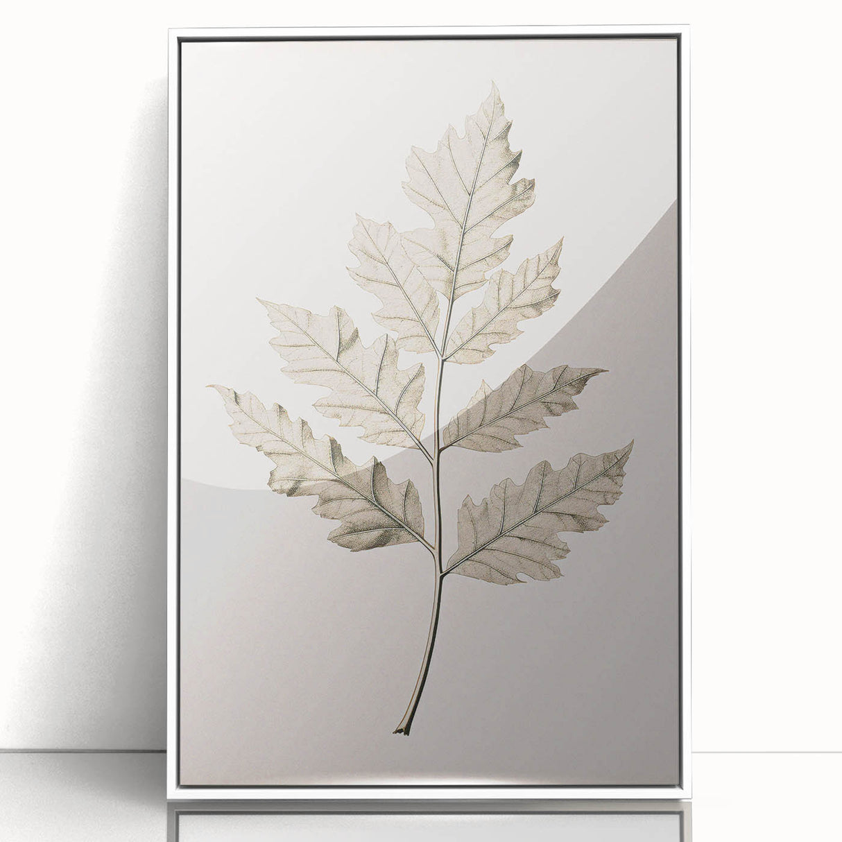 Vintage Botanical Art Prints – Elegant Oak Leaf Drawing