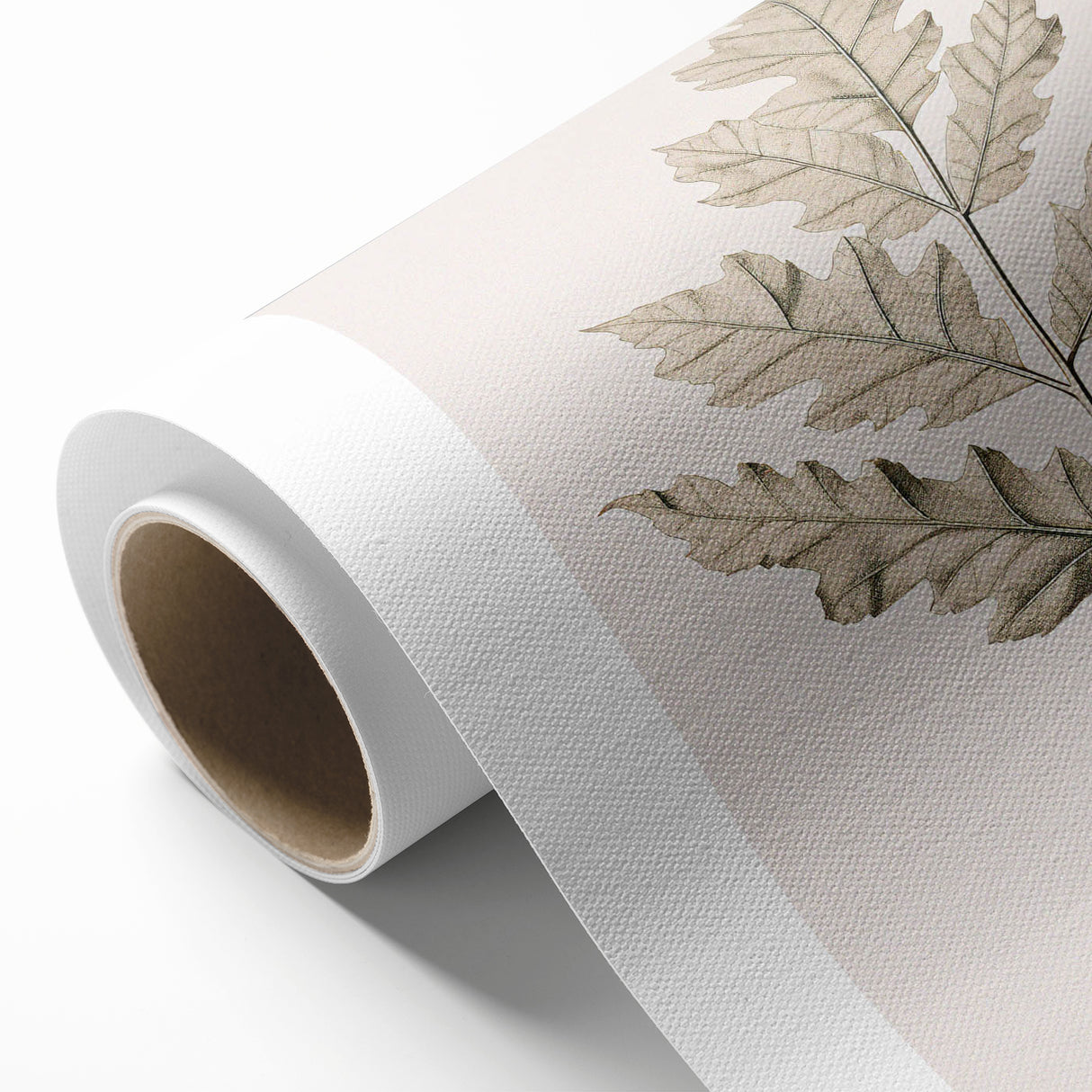 Vintage Botanical Art Prints – Elegant Oak Leaf Drawing