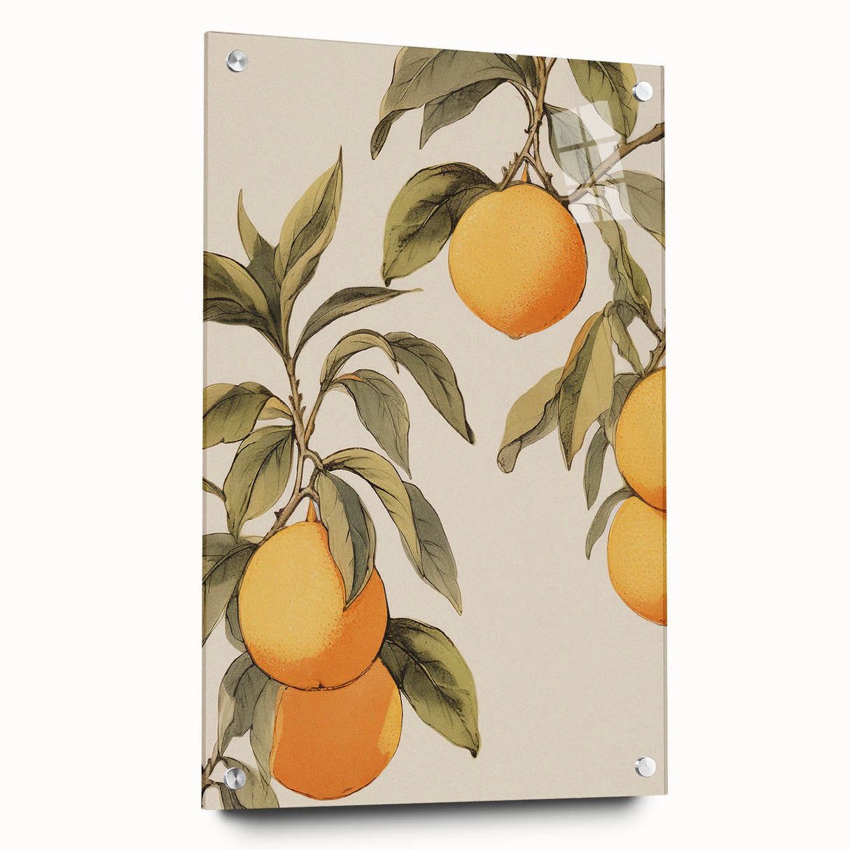 Vintage Botanical Art Print: Antique Lemon Tree Illustration