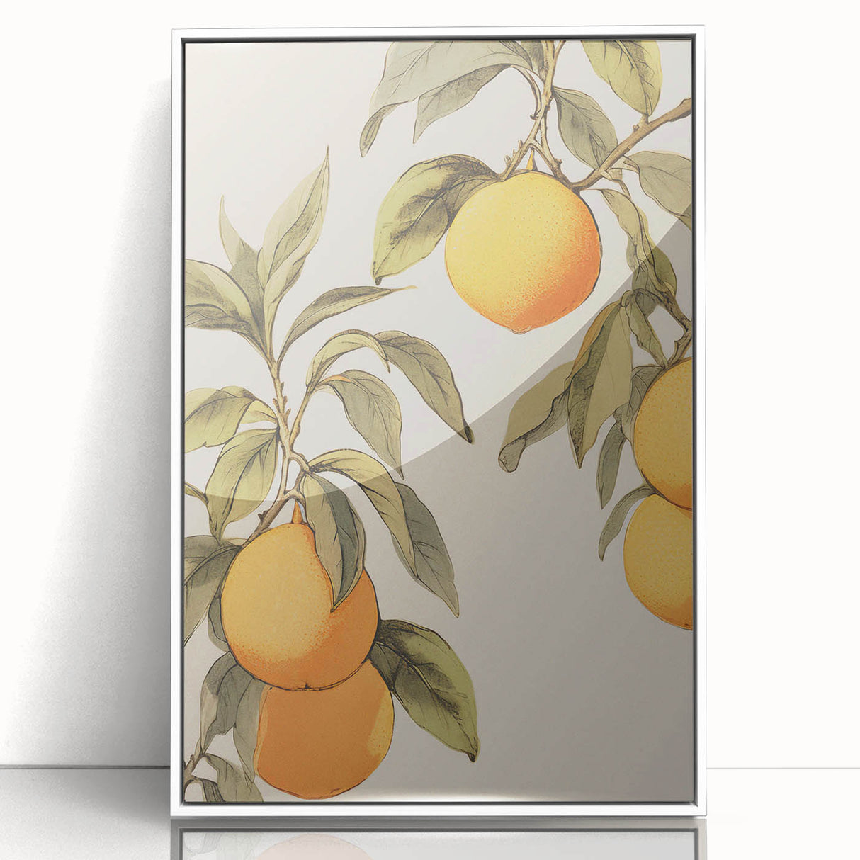 Vintage Botanical Art Print: Antique Lemon Tree Illustration