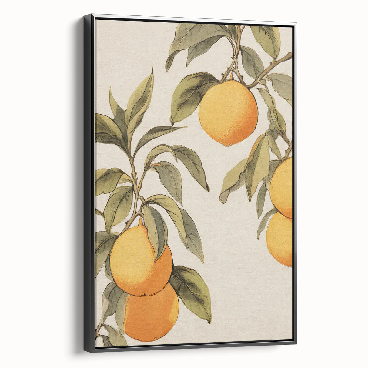 Vintage Botanical Art Print: Antique Lemon Tree Illustration