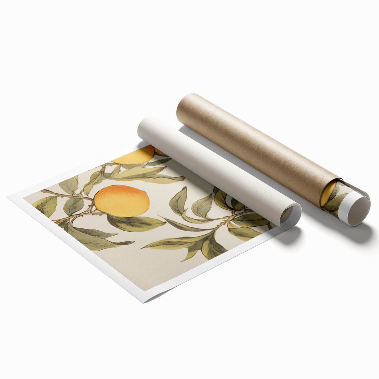 Vintage Botanical Art Print: Antique Lemon Tree Illustration