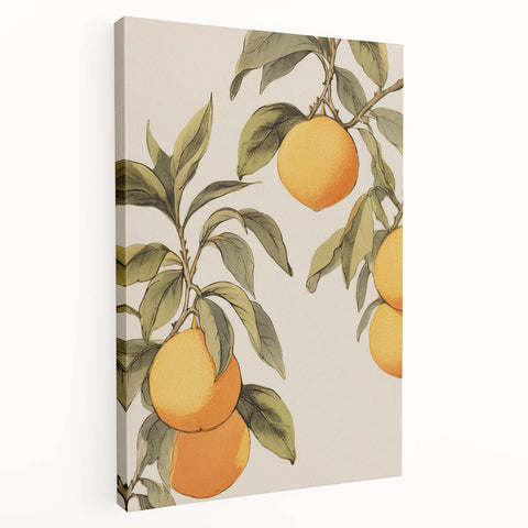 Vintage Botanical Art Print: Antique Lemon Tree Illustration