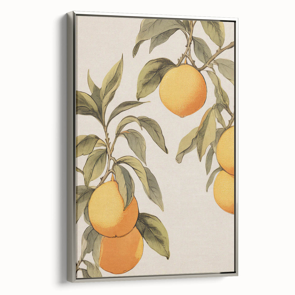 Vintage Botanical Art Print: Antique Lemon Tree Illustration