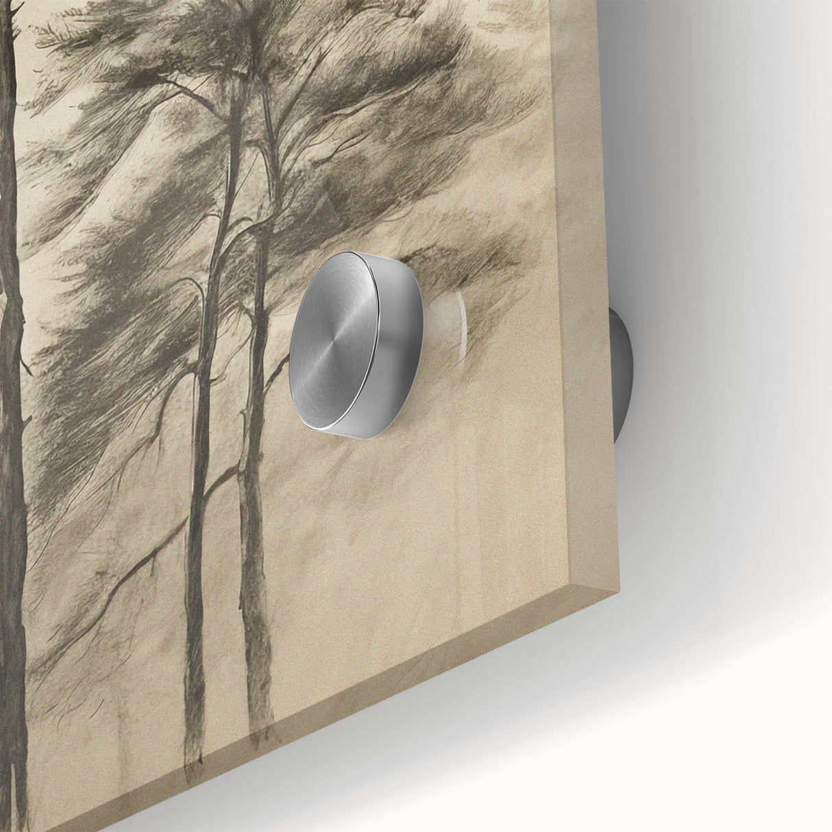 Vintage Botanical Art Print: Soft Tree Sketch Illustration