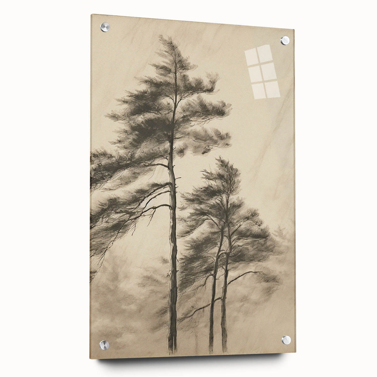 Vintage Botanical Art Print: Soft Tree Sketch Illustration