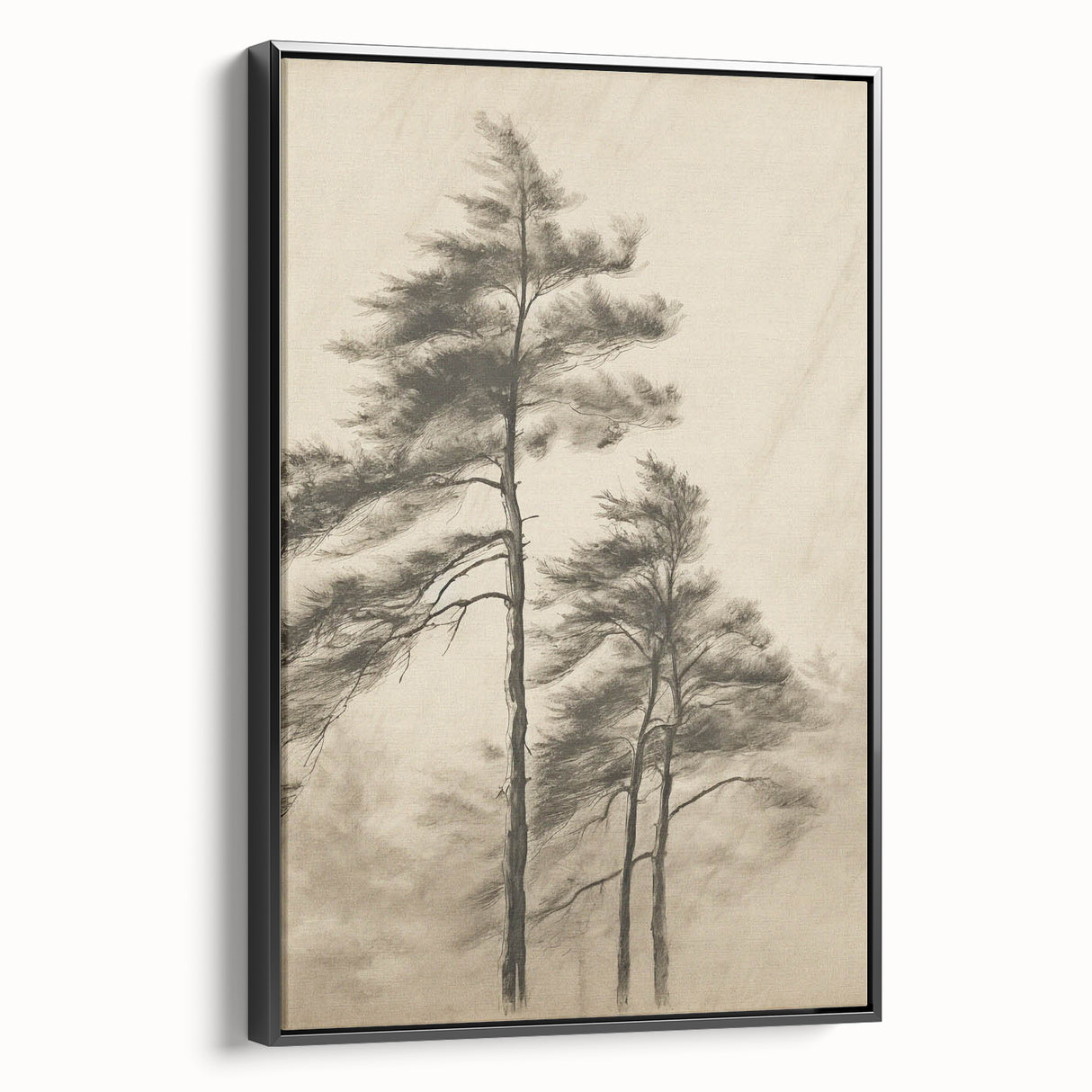 Vintage Botanical Art Print: Soft Tree Sketch Illustration