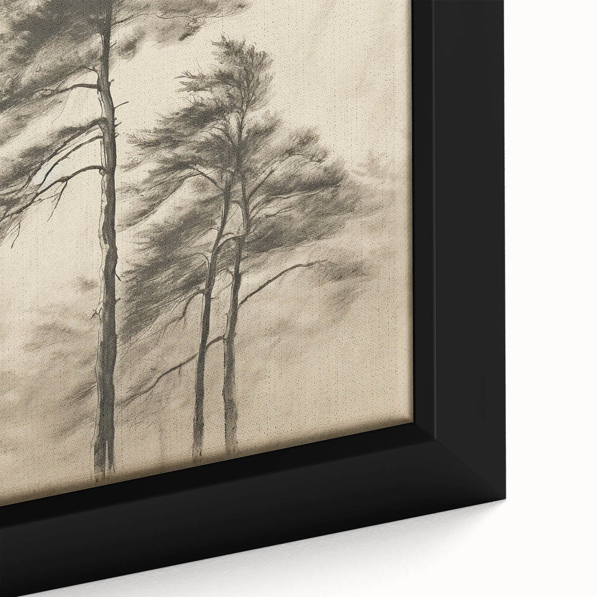 Vintage Botanical Art Print: Soft Tree Sketch Illustration