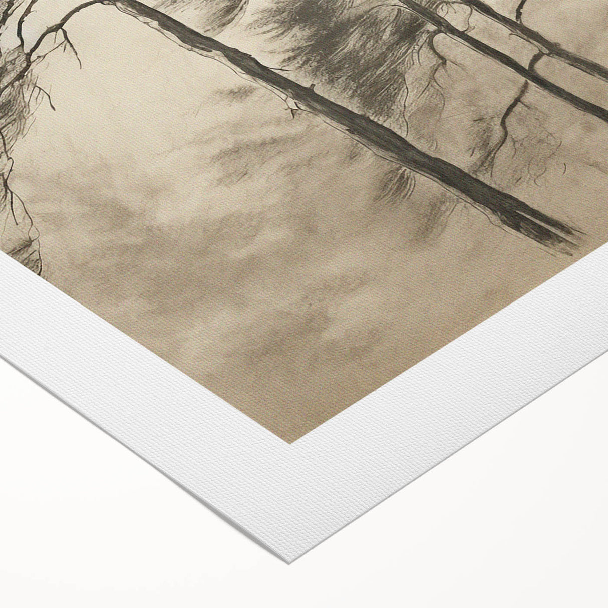 Vintage Botanical Art Print: Soft Tree Sketch Illustration