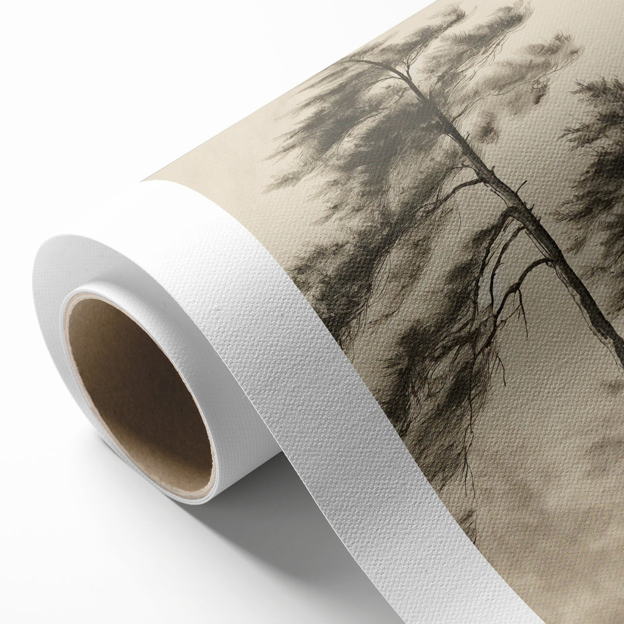 Vintage Botanical Art Print: Soft Tree Sketch Illustration