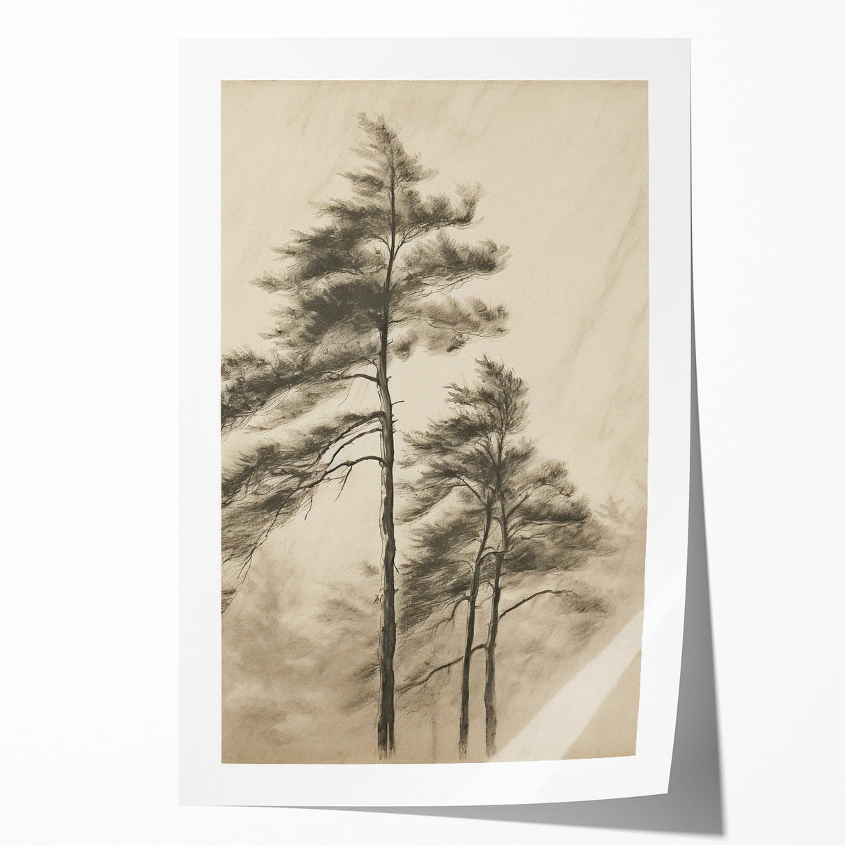 Vintage Botanical Art Print: Soft Tree Sketch Illustration