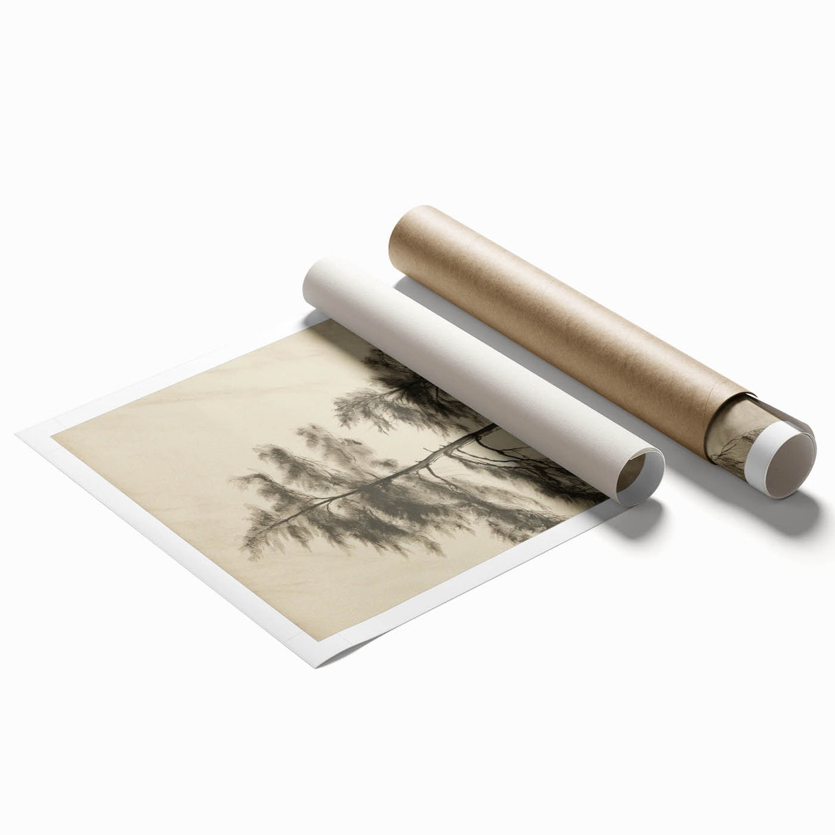 Vintage Botanical Art Print: Soft Tree Sketch Illustration