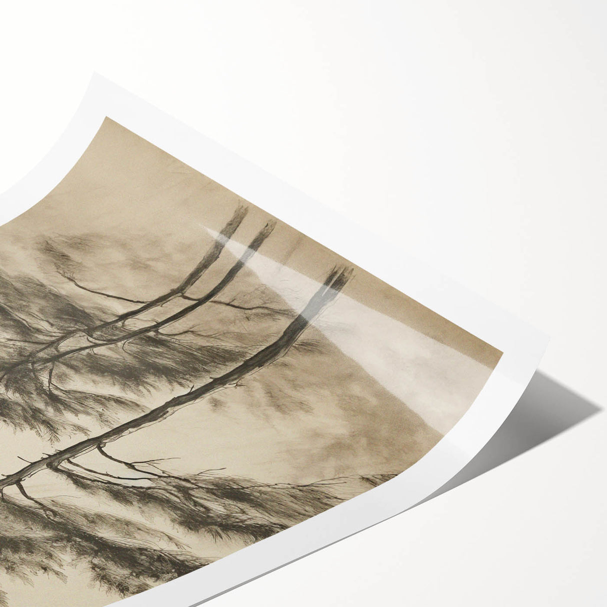 Vintage Botanical Art Print: Soft Tree Sketch Illustration