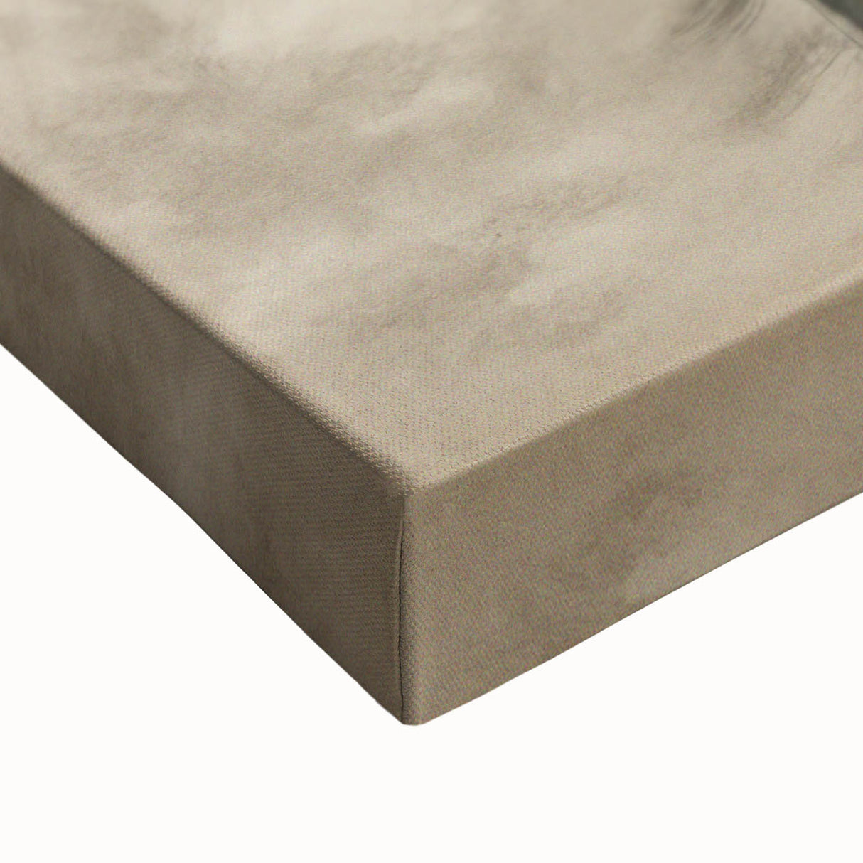 Vintage Botanical Art Print: Soft Tree Sketch Illustration