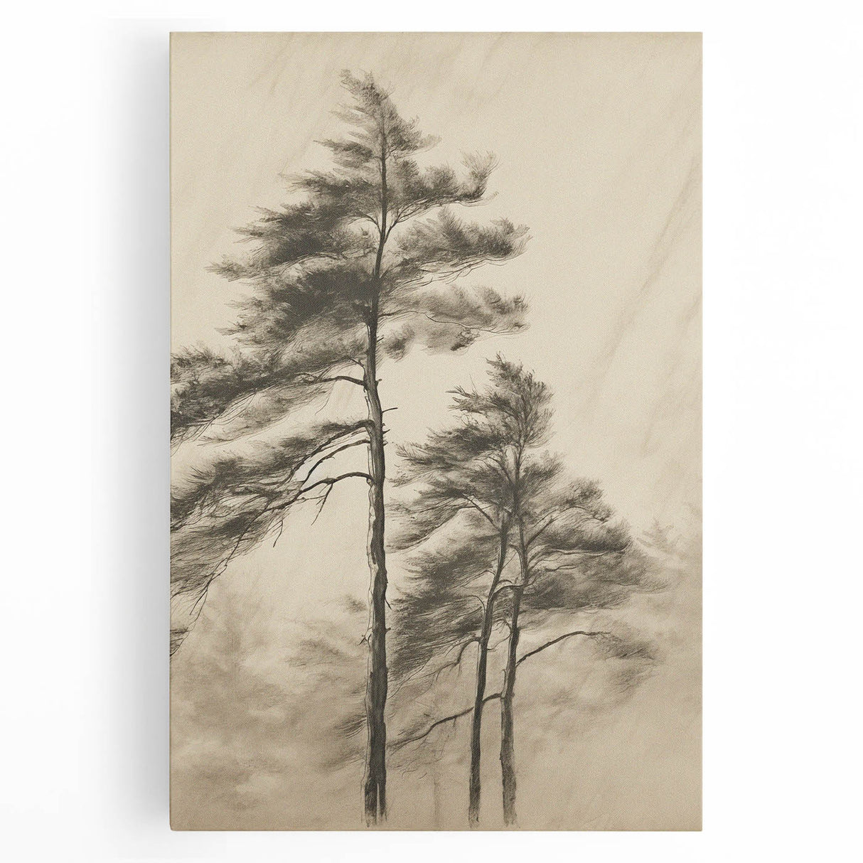 Vintage Botanical Art Print: Soft Tree Sketch Illustration