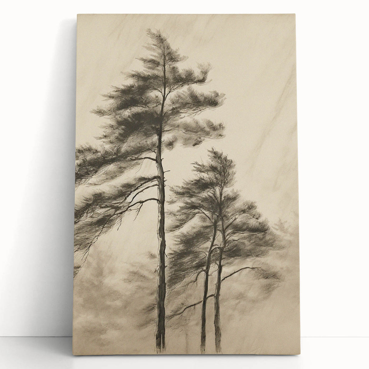 Vintage Botanical Art Print: Soft Tree Sketch Illustration