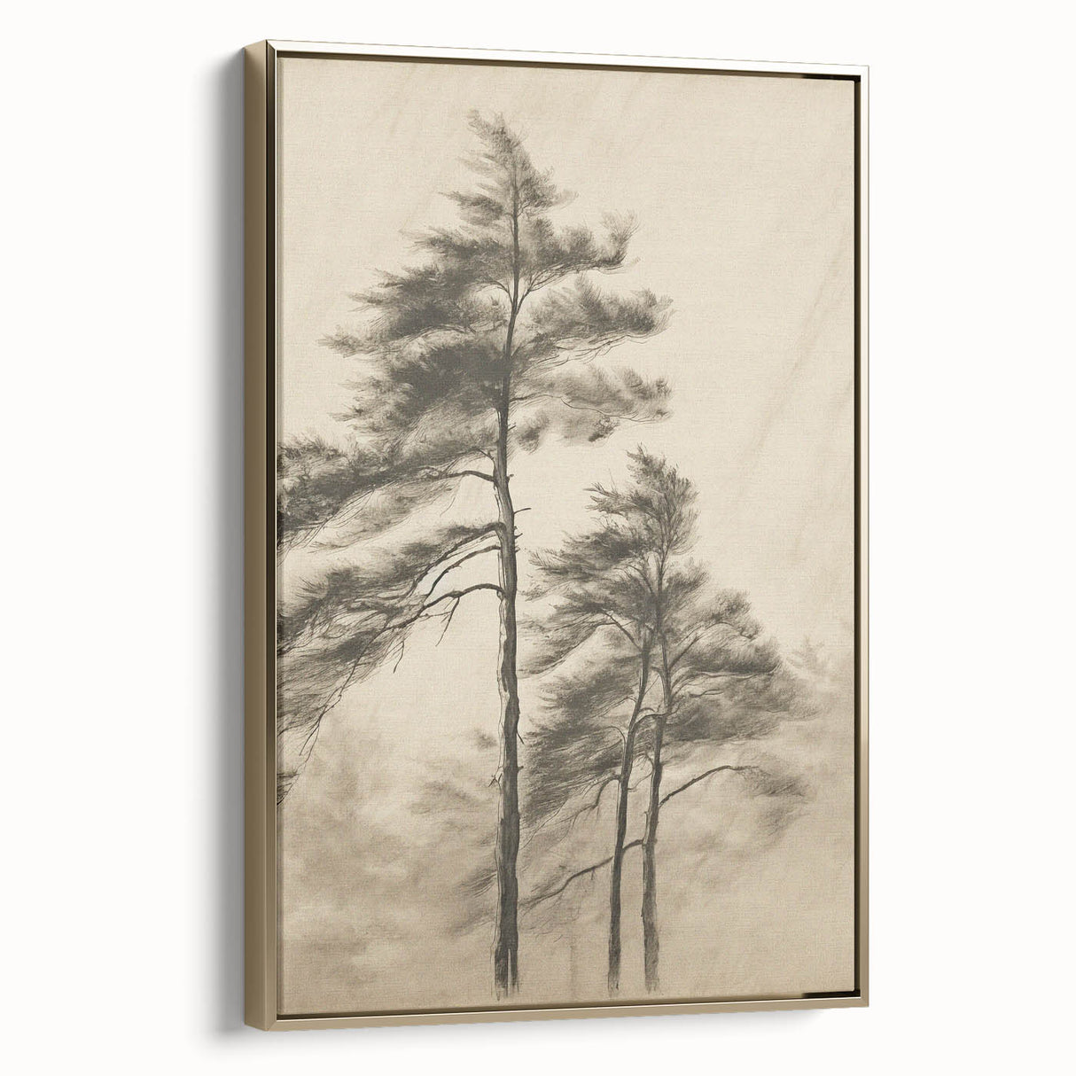 Vintage Botanical Art Print: Soft Tree Sketch Illustration