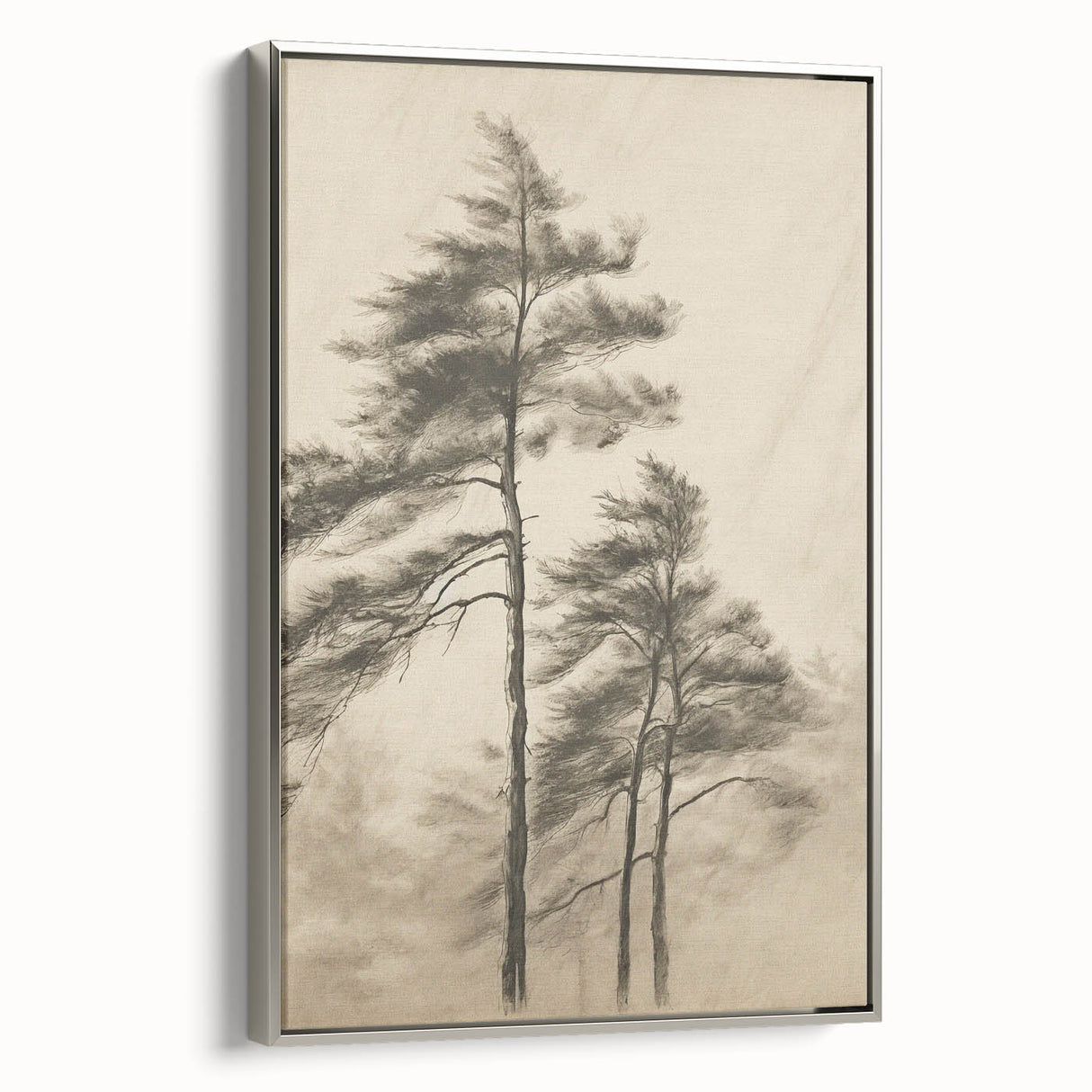 Vintage Botanical Art Print: Soft Tree Sketch Illustration