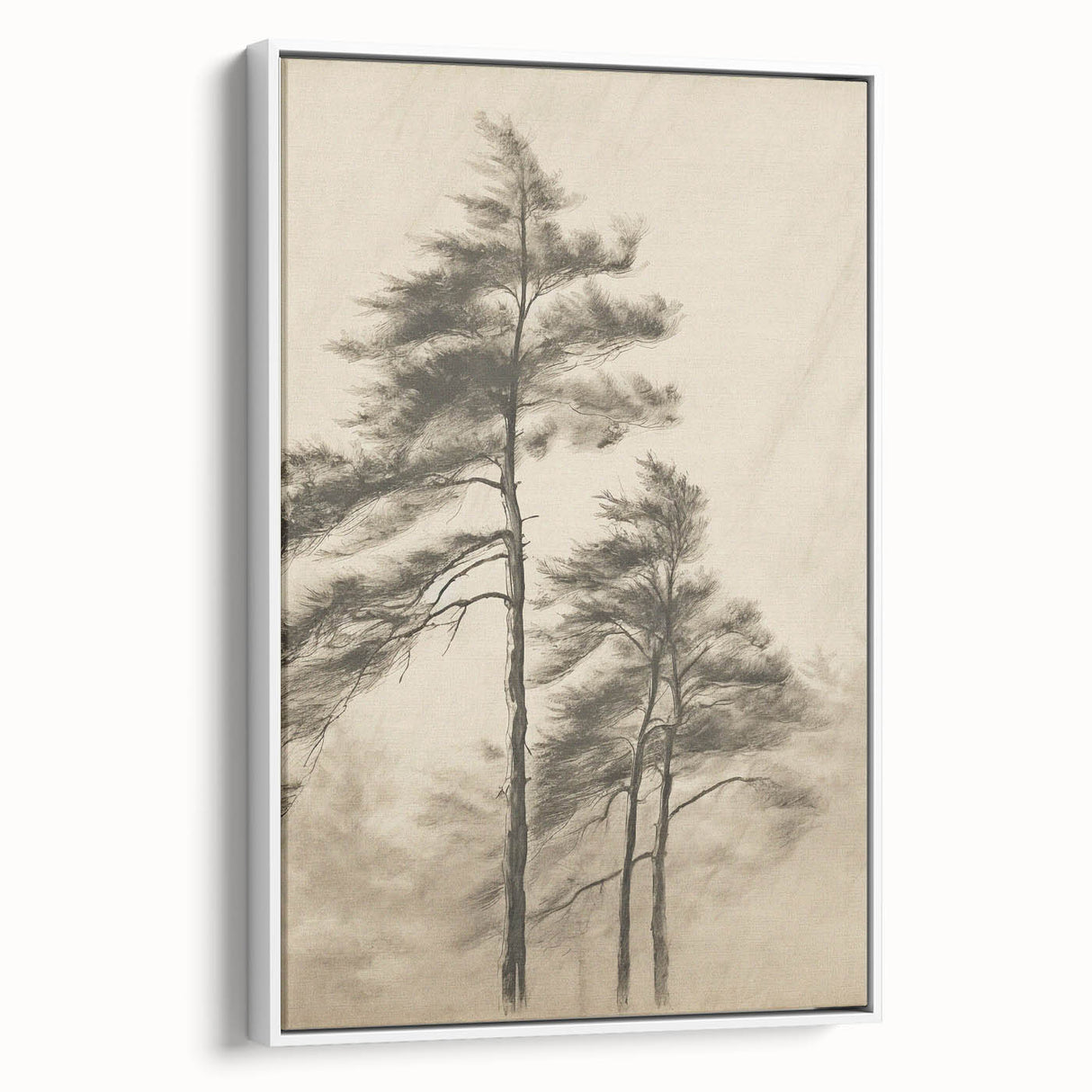Vintage Botanical Art Print: Soft Tree Sketch Illustration