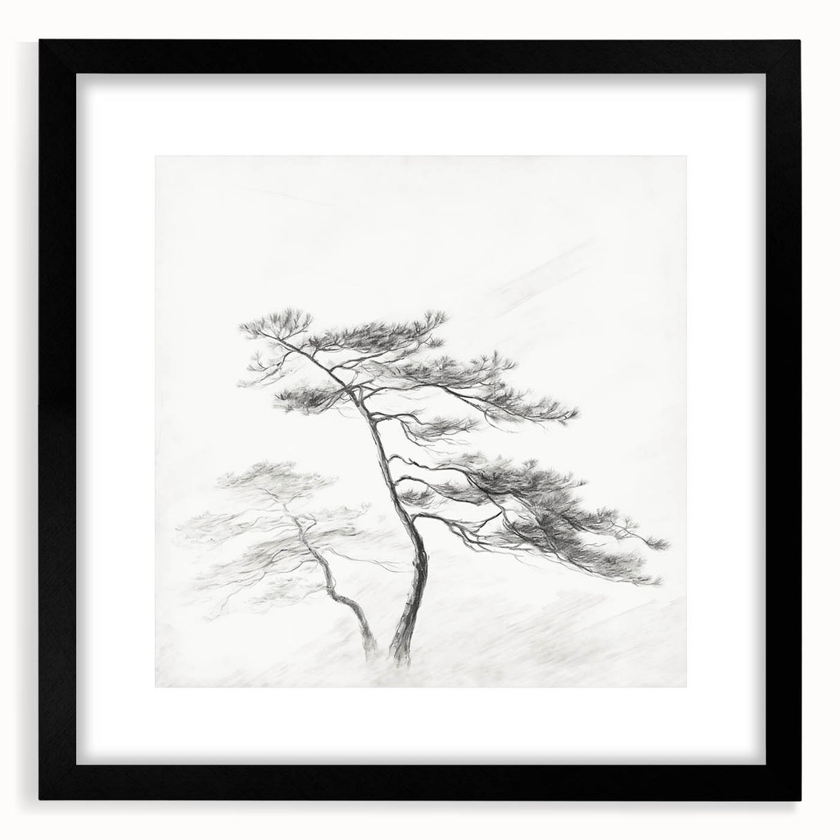Vintage Botanical Art Print: Elegant Tree Sketch Illustration