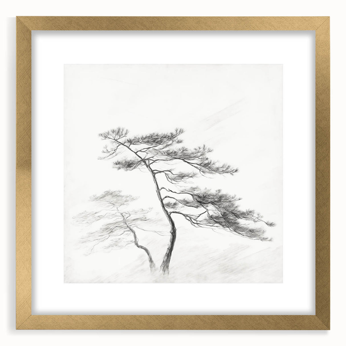 Vintage Botanical Art Print: Elegant Tree Sketch Illustration
