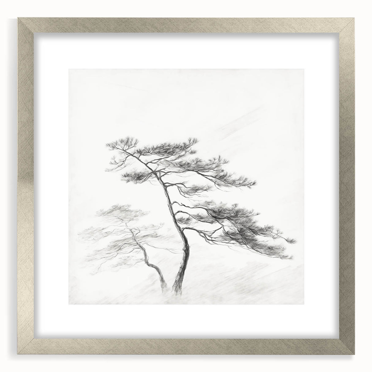 Vintage Botanical Art Print: Elegant Tree Sketch Illustration