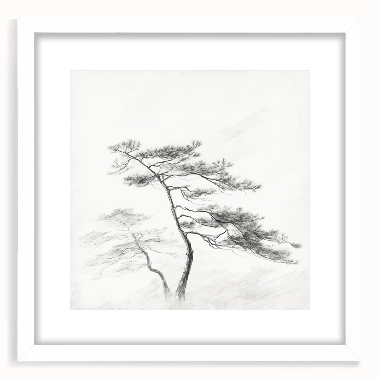 Vintage Botanical Art Print: Elegant Tree Sketch Illustration