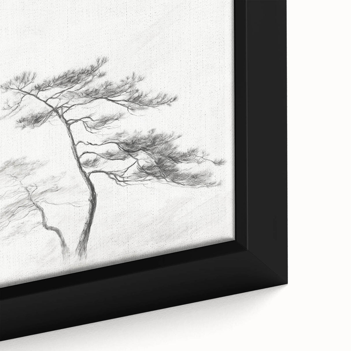 Vintage Botanical Art Print: Elegant Tree Sketch Illustration