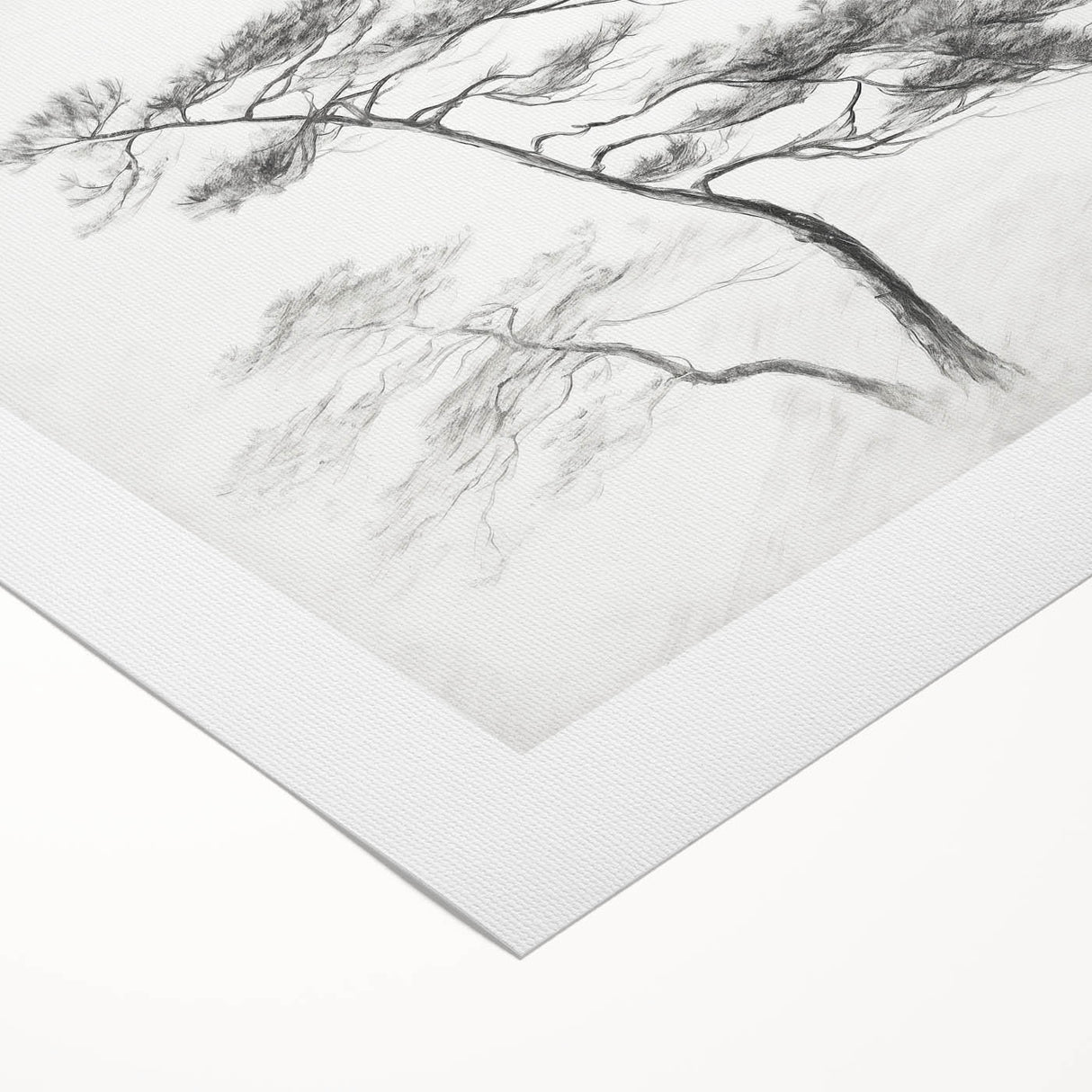 Vintage Botanical Art Print: Elegant Tree Sketch Illustration