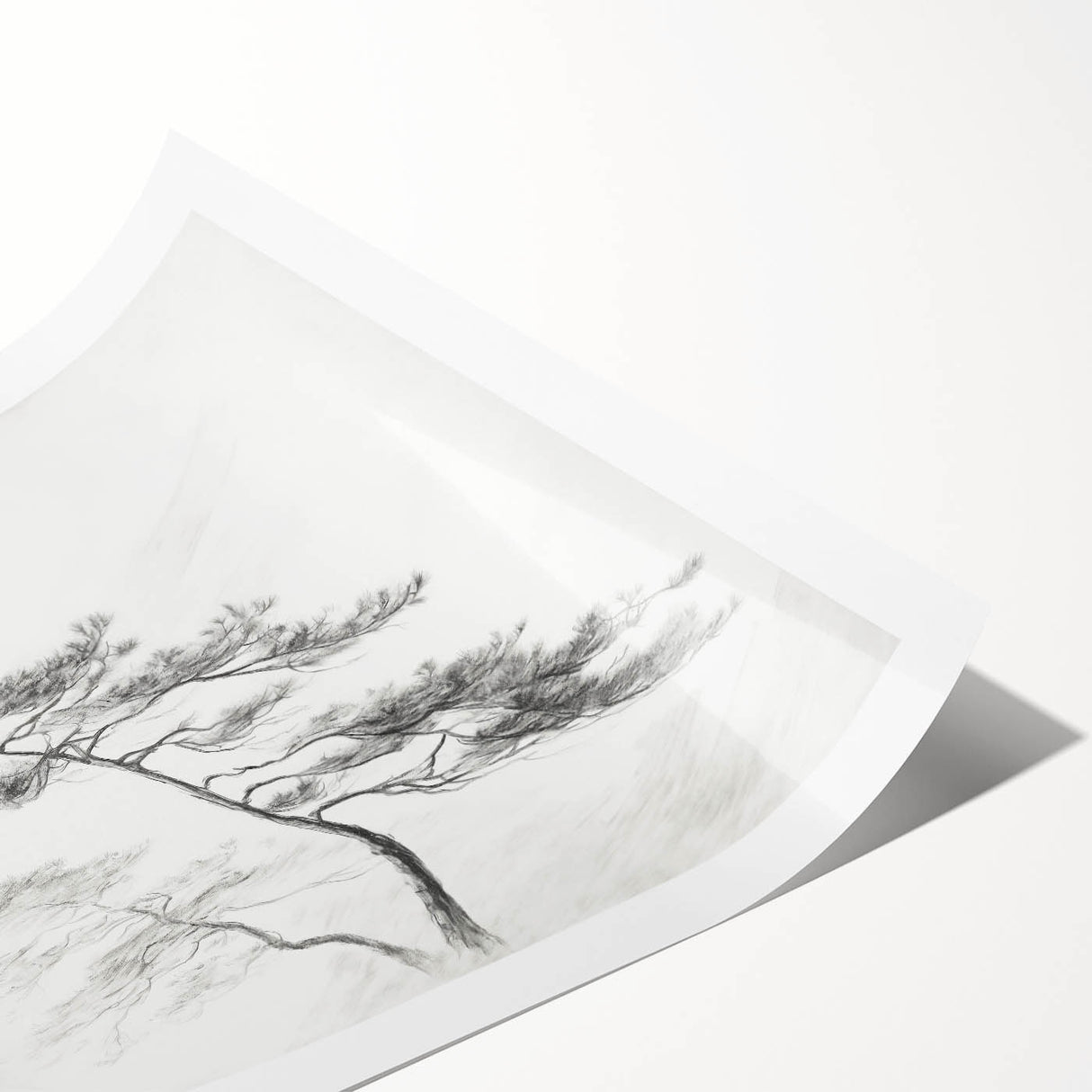 Vintage Botanical Art Print: Elegant Tree Sketch Illustration