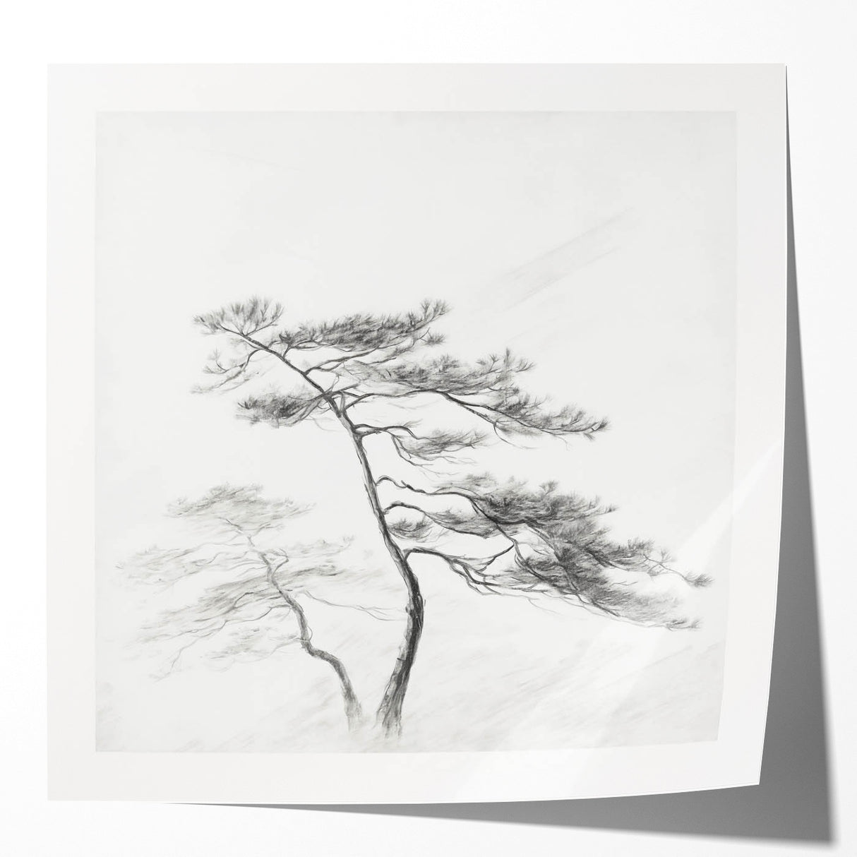 Vintage Botanical Art Print: Elegant Tree Sketch Illustration